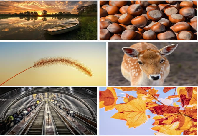 PPT���ĳ󳣱����S��������ȱ���@Щ���ɺ��ز��YԴ