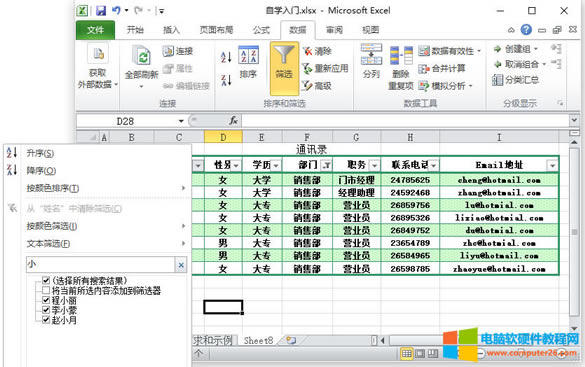 Excel篩選(Excel 2010中的篩選的使用方法)2