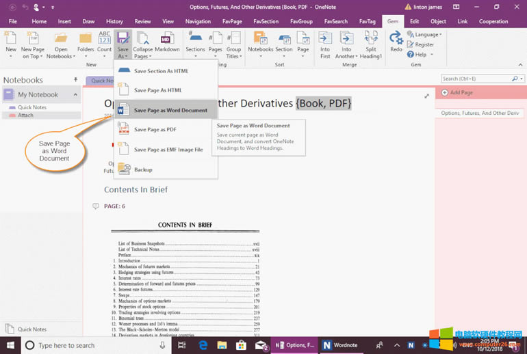 OneNote: Gem for OneNote ��ı������� Word �ęn���� 