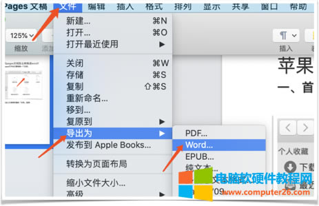 pages�D(zhu��n)word�ڶ���