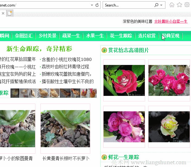 Word�ęn���ƈDƬ�󿴲�Ҋ