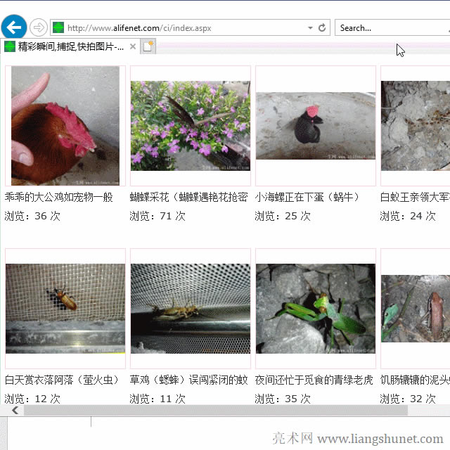 �ѾW��е����ֺ͈DƬճ�N�� Word �ęn