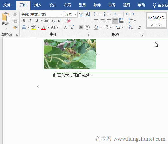 Word�x����ճ�N��ճ�N朽ӳʻ�ɫ������