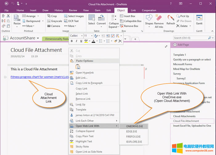 �� OneNote 2016, 2013, 2010 ����_�Ƹ��� 