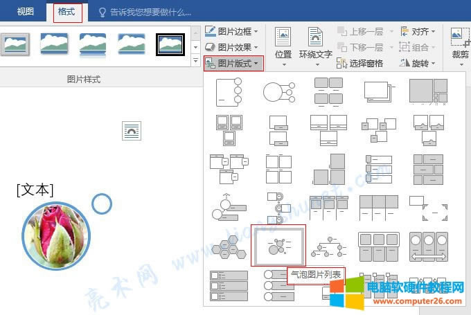 Word ���݈DƬ��ʽ