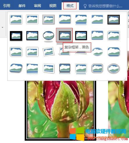 Word2016 ���ЈDƬ��ʽ