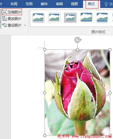 Word 2016 ���s�DƬ��һ���c�������ɏ����ψDƬ���x�У�