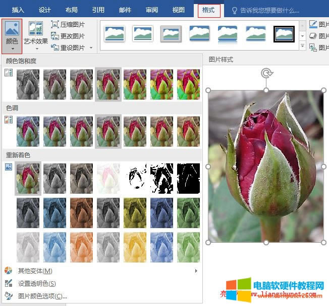 Word 2016 �{���DƬ�ɫ��϶ȡ�ɫ�{��������ɫ��͸��ɫ��