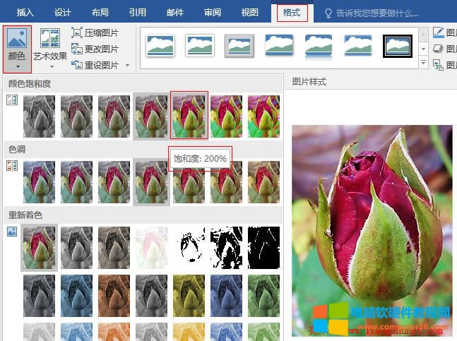 Word 2016 �DƬ�ɫ϶�