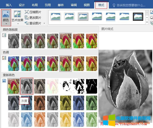 Word 2016 õ�廨�DƬ������ɫ