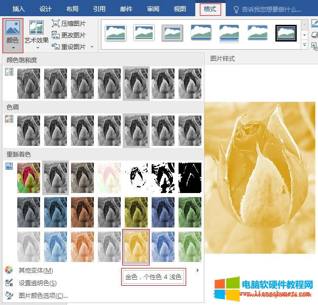 Word 2016 �DƬ��ɫ��ʽ����ɫ������ɫ 4 �\ɫ