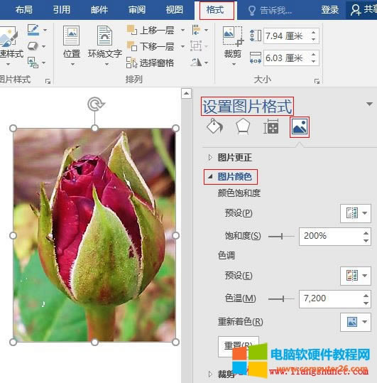 Word 2016 �{���DƬ�ɫ֮�����O��