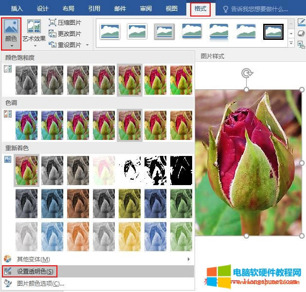 Word 2016 �DƬ�O��͸��ɫ