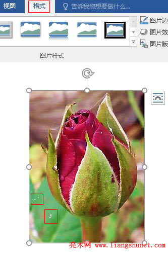 Word 2016 �DƬ͸���c