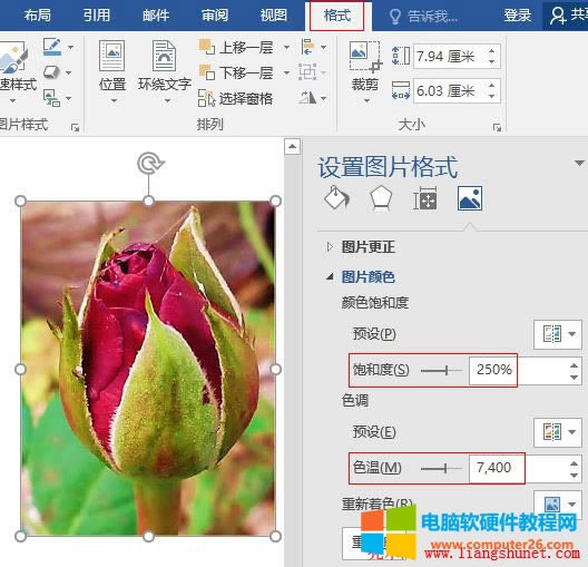 Word 2016 �DƬ϶��{�� 250%