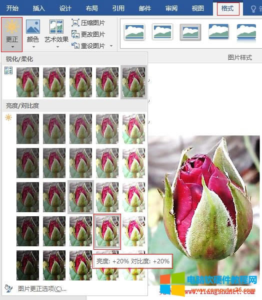 Word2016 õ�廨�DƬ����/���ȶ��{��