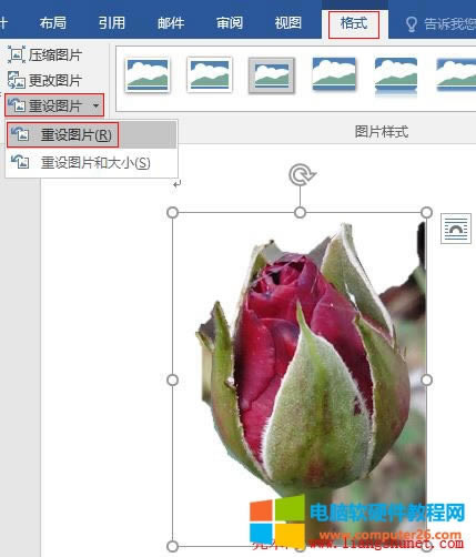 Word 2016 ���O(sh��)�DƬ���ü���߀ԭ��ȥ��Ч����