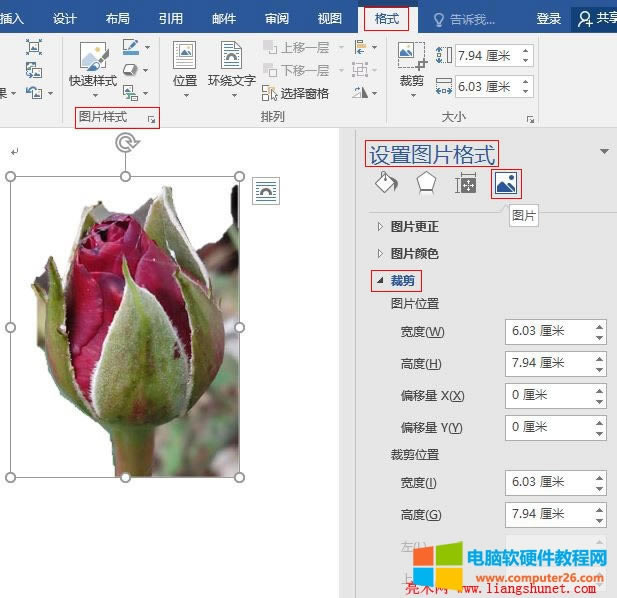Word 2016 ������ֵ�ü�DƬ������ϻ�ɫ��