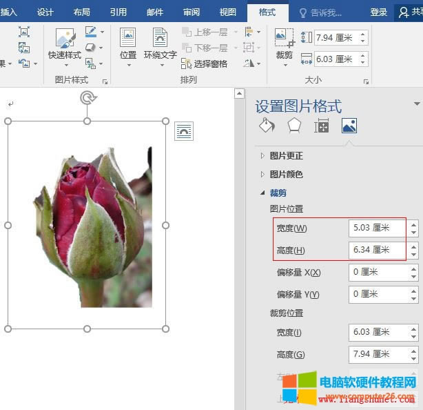 Word 2016 �DƬλ�õĸ߶Ⱥ͌������ڿsС��Ŵ�DƬ
