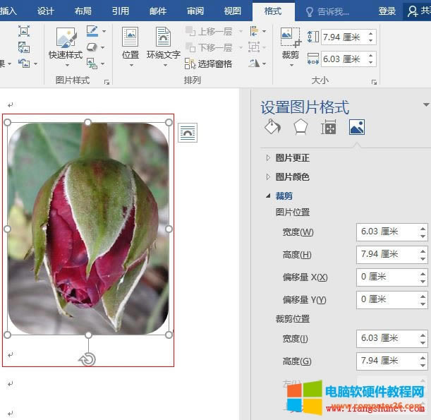 Word 2016 �DƬ���D 180 �Ȳü�