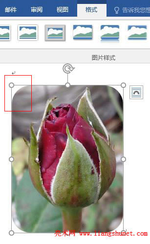 Word 2016 �DƬ���ü���A�Ǿ���