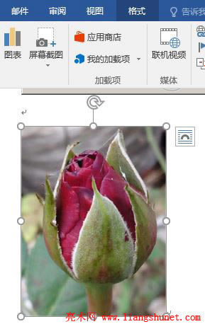 Word2016 �h���DƬ