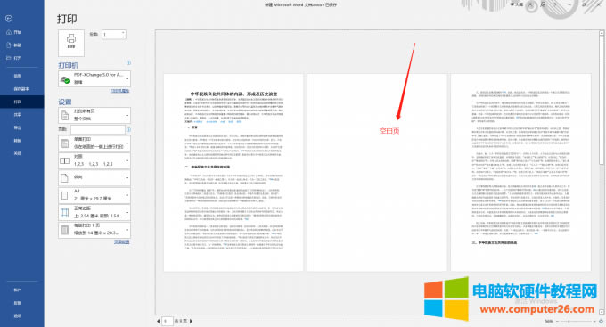 打印預覽中的空白頁
