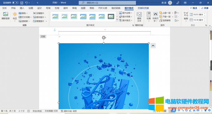 �{���DƬ��С