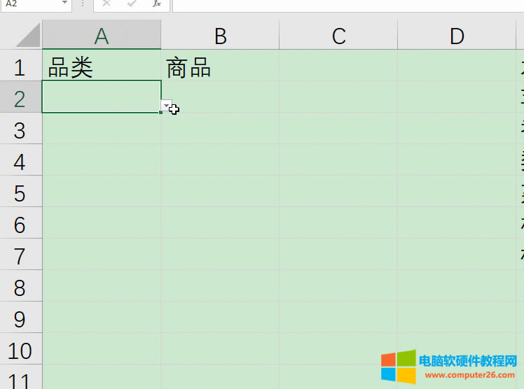 Ч��չʾ����