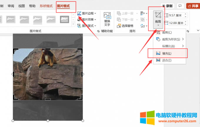 �{���DƬλ��