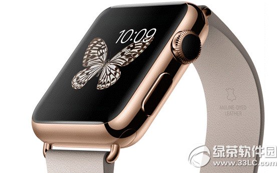 apple watch edition�r������X��apple watch edition��r1