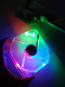 �C��������