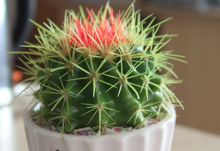 ����Xݗ���8��С�[�T