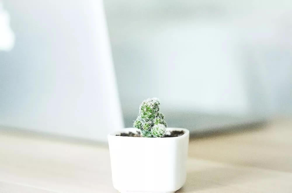 關(guān)于路由器的這些“謠言”,你信了嗎?