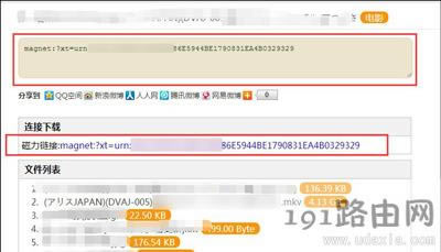 磁力鏈接搜索引擎的使用方法
