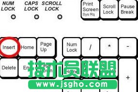 word���ֺ��������ʧ