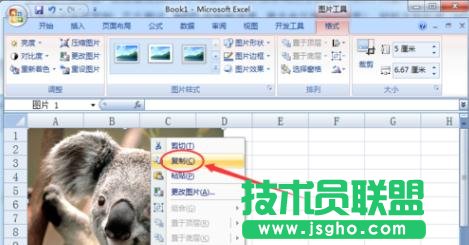 excel������ĈDƬ��α���