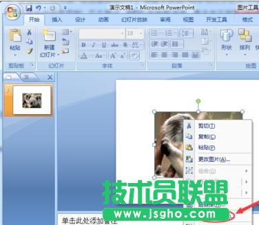 excel������ĈDƬ��α���