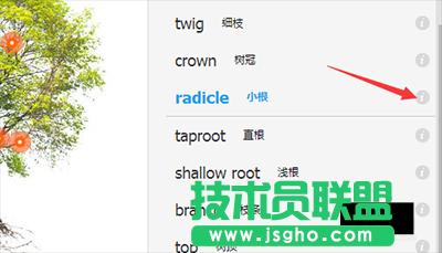 ���gܛ���е��~��