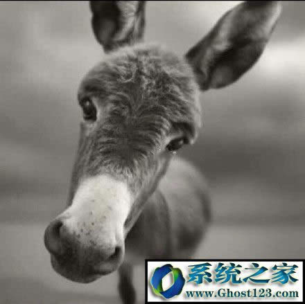 �����^��