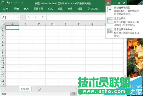 excel2016���ߙ���ô�@ʾ/�[��?