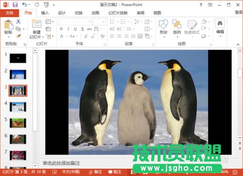 怎樣在PowerPoint2013制作簡(jiǎn)易的電子相冊(cè)的方法