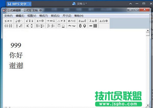 ���׌WPS����һ�Ќ���������