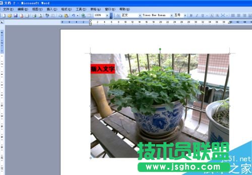 word�ęn��ô�ڈDƬ�ό���?