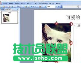 ppt2013��ô�O(sh��)�����֭h(hu��n)�@Ч��?