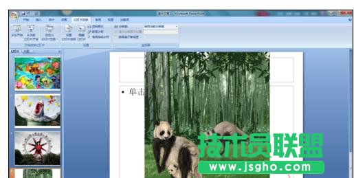 ppt������O(sh��)�ûß�Ƭ���rѭ�h(hu��n)����