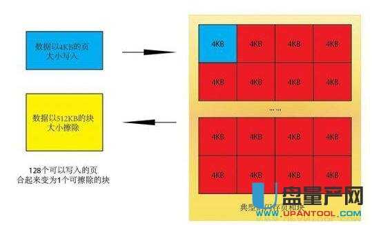 SSD�̑BӲ�P���P����ô�k��Q