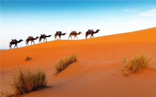 Win10�ڼ���In the Desert�ϼܣ�