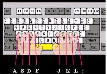 ƴ������