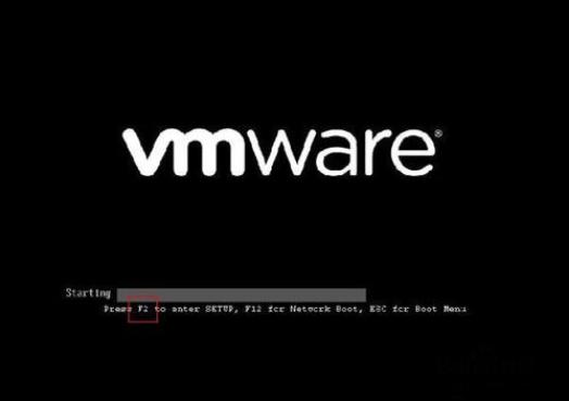 �O��CD����